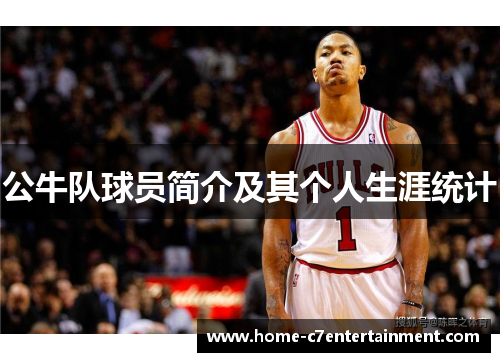 公牛队球员简介及其个人生涯统计